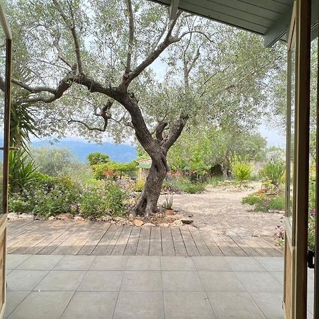 Finca Florecer Tivenys Extérieur photo